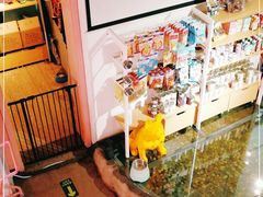 -百好乐宠物友好餐厅(朝外大街店)