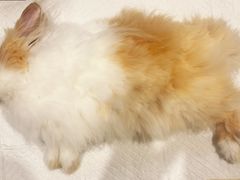 -美迦爱-牙专科·兔科·骨科诊疗中心(北苑店)