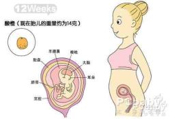 -邢台妇产医院