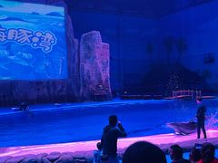 -华夏文旅海洋公园