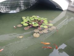 -粤剧艺术博物馆