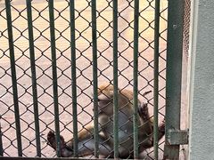 -合肥野生动物园