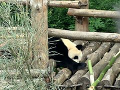 -黔灵山公园