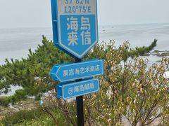 -养马岛旅游度假区