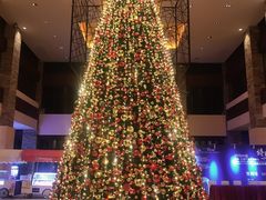 -三亚海棠湾喜来登度假酒店大堂吧