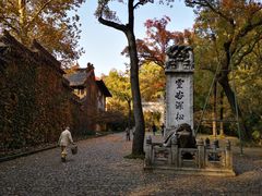 -灵谷景区