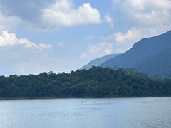 -广州市流溪河国家森林公园