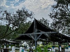 -空港花田景区