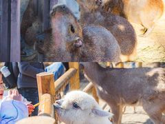 -茅山东方盐湖城景区