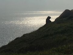 -南麂列岛