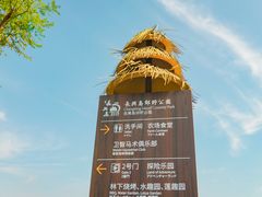 -上海长兴岛郊野公园