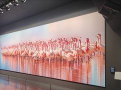 -罗红摄影艺术馆