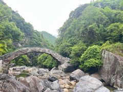 -石台牯牛降景区