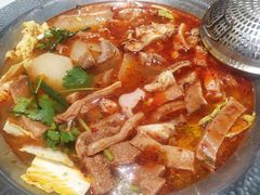 -古乐牛香•鲜牛肉牛杂火锅(系马桩总店)