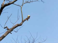 -南山风景名胜区