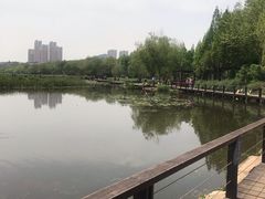 -前关湿地公园
