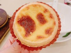 招牌鲜奶蛋挞-顺风山庄(水濂山店)