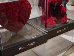 -ROSEONLY诺誓(广州K11店)