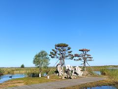 -黑龙江扎龙生态旅游区