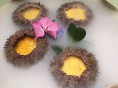 -鹏湾.壹号