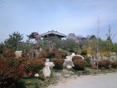 android_upload_pic-孔子研究院