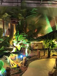 点击看大图 -恐龙探索乐园(磁器口店)