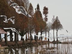 -捞渔河湿地公园