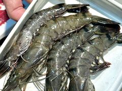 -来龍儿鲜切牛肉自助老火锅