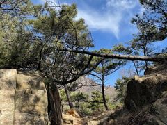 -泰山风景名胜区