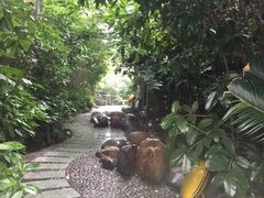 -金凤凰温泉度假村·凤凰汇中餐厅