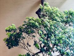 -物心空间