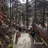 香格里拉小众朝拜寺庙｜本地藏民日常打卡，香火很旺