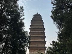 -洛阳白马寺