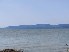 -上海市保健医疗中心