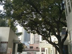 -上海市眼病防治中心(康定路院区)