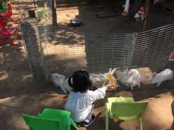 -上美四季动物农场