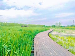 -永定河休闲森林公园