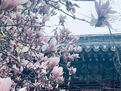 -潭柘寺景区