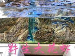 -欧记·龙城港(欣都店)