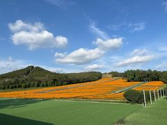 -大连铭湖国际观光牧场