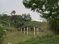 -白鹭湾湿地公园