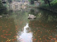 -南国桃园旅游度假区