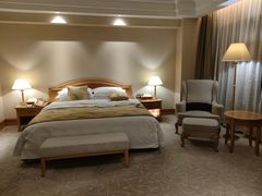 -南京维景国际大酒店(南京博物院店)