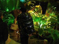 -恐龙探索乐园(磁器口店)