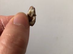 -美事客·面包·蛋糕·甜品(城中城店)