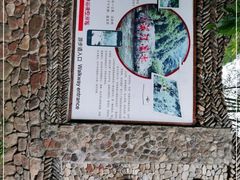 -水墨汀溪风景区