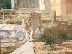 -昆明动物园