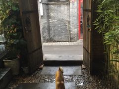 -锦尚阁烤鱼•天津菜(宣武门胡同店)