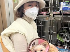 -瑞派名望24h动物医院异宠专科·猫专科·骨科·重症监护分院