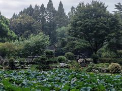 -杭州植物园
